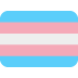 transgender flag